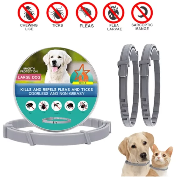 dog necklace