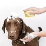 1-main-bathroom-puppy-big-dog-cat-bath-massage-gloves-brush-soft-safety-silicone-pet-accessories-for-dogs-cats-tools-mascotas-products