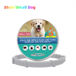 38cmSmallDogWith Box