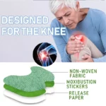 Buy Knee Pain Relief Patch Herbal Medical Plaster