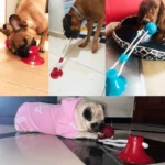 0-main-dog-toys-interactive-suction-cup-push-tpr-ball-toys-pet-puppy-molar-bite-toy-elastic-ropes-dog-tooth-cleaning-chewing-supplies