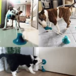 0-main-dog-toys-interactive-suction-cup-push-tpr-ball-toys-pet-puppy-molar-bite-toy-elastic-ropes-dog-tooth-cleaning-chewing-supplies