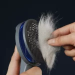 0-main-kimpets-cat-comb-dog-hair-remover-brush-pet-grooming-slicker-needle-comb-removes-tangled-self-cleaning-pet-supplies-accessories