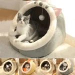 outdoor cat house