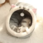 outdoor cat house