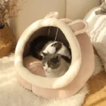 outdoor cat house